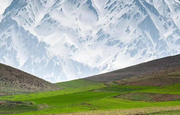 عکس دیدنی: سپیدپوشی اشترانکوه در اولین برف پاییزی